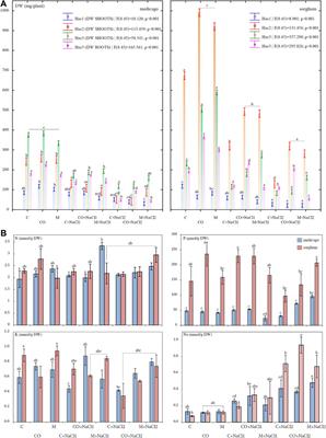 Comparison of grain sorghum and alfalfa for providing heavy metal remediation of sandy soil with different soil amendments and salt stress